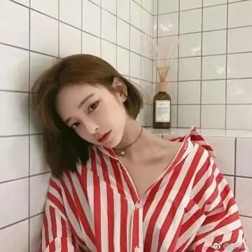 加菲猫和他的朋友们第二季